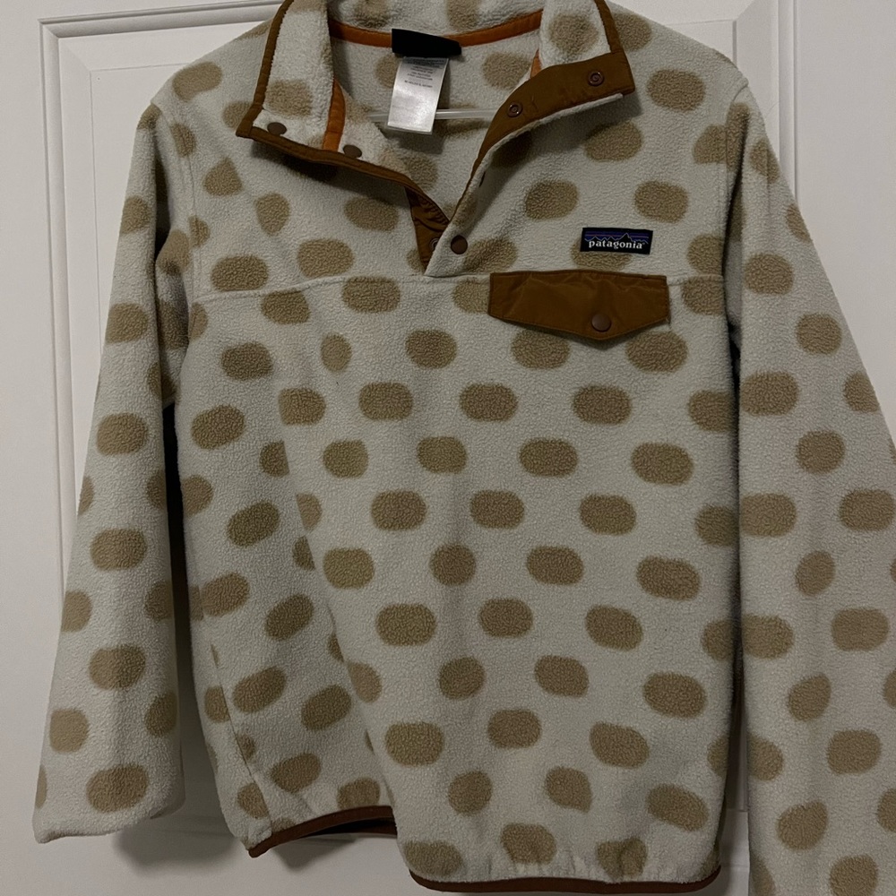 Patagonia Synchilla Lightweight Pullover Size M
